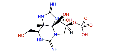 Decarbamoylgonyautoxin 3